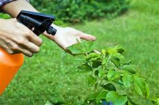 Organic Pesticide
