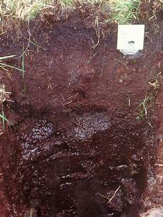 Peat