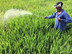 Pesticide