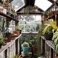 Plant Prod