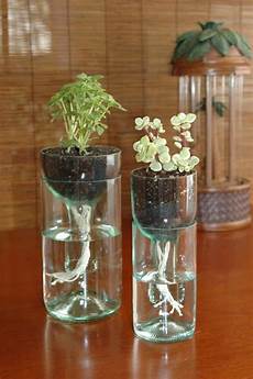 Plastic Bottles