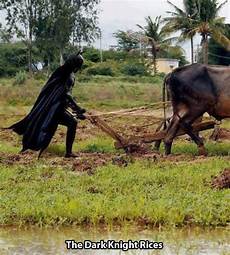 Plough