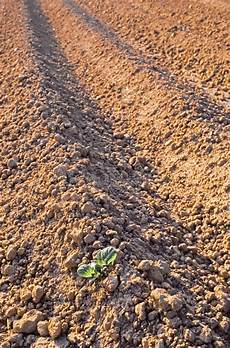 Ploughes