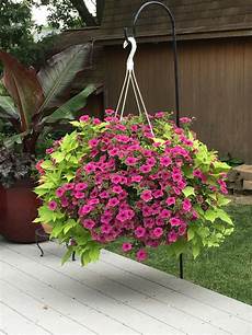 Potato Planter