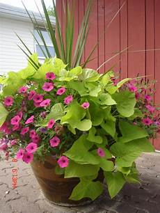 Potato Planter