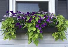 Potato Planter