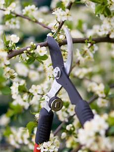 Pruning Saws