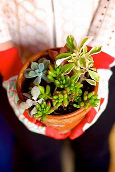 Pruning Shears