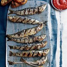 Sardine
