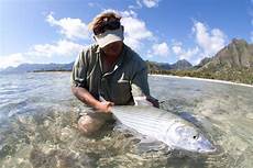 Seabass