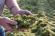 Silages