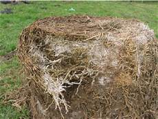 Silages