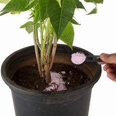 Special Fertilizer