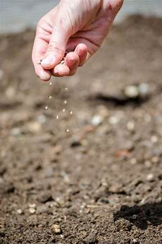 Spesific Fertilizer