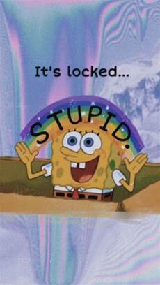 Sponge