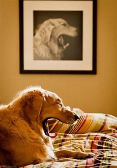 Timing
