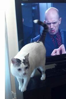 Timing