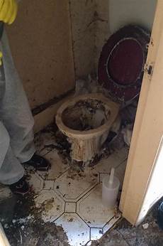 Wc Cleaers