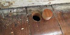 Wood Putty