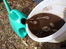 Worm Fertilizer