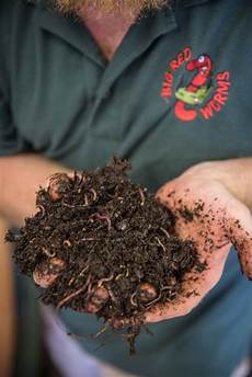 Worm Fertilizer