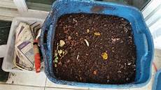 Worm Fertilizer
