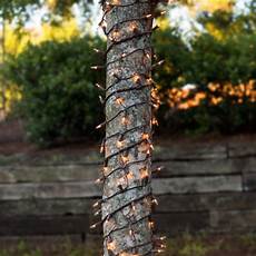 Wrapping Rope